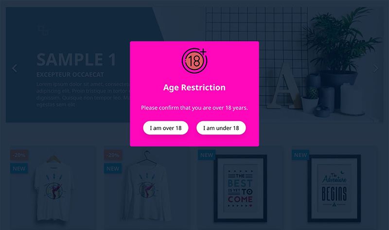 Age Verification for PrestaShop